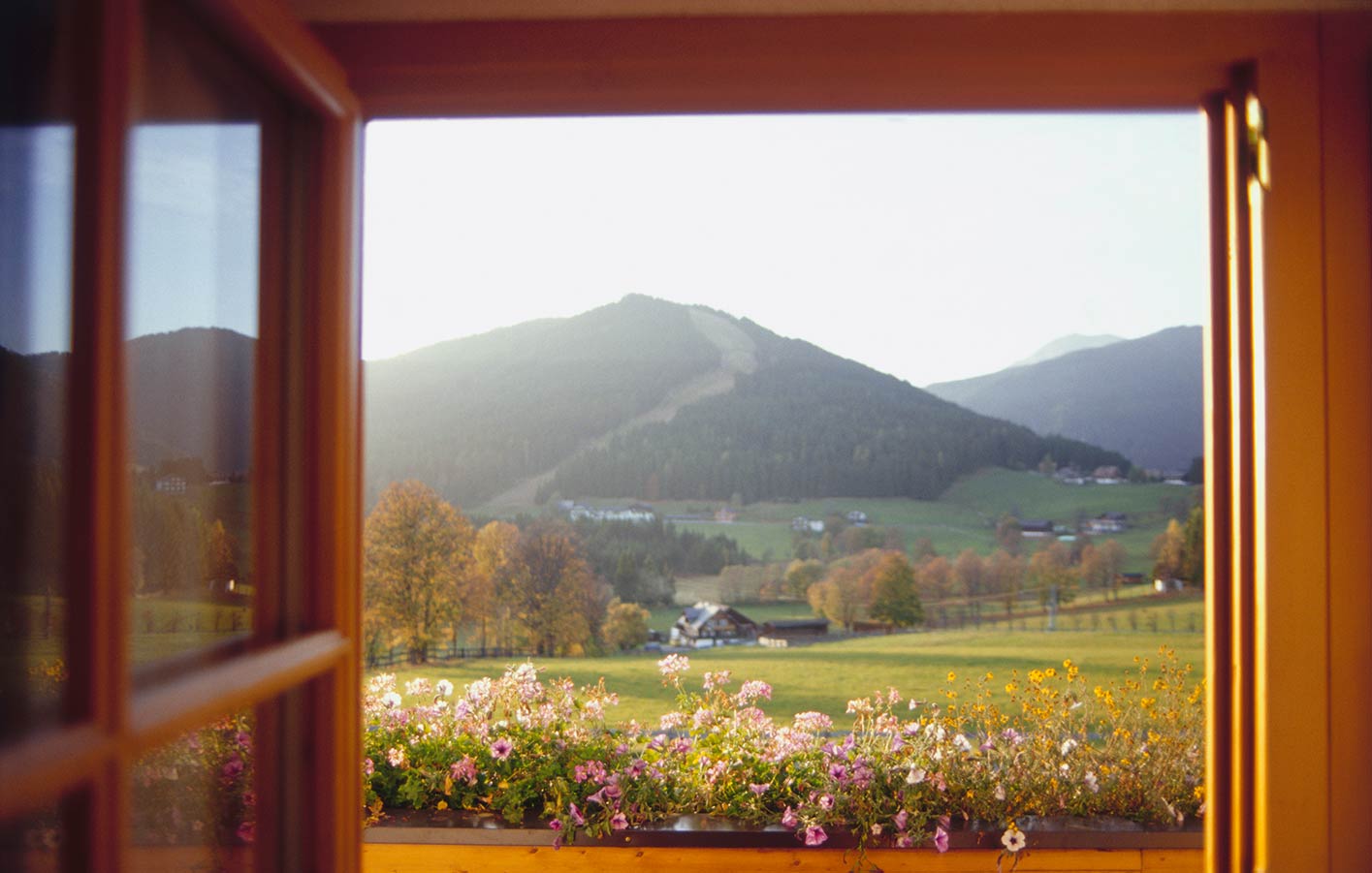 Fenster in Lengede kaufen